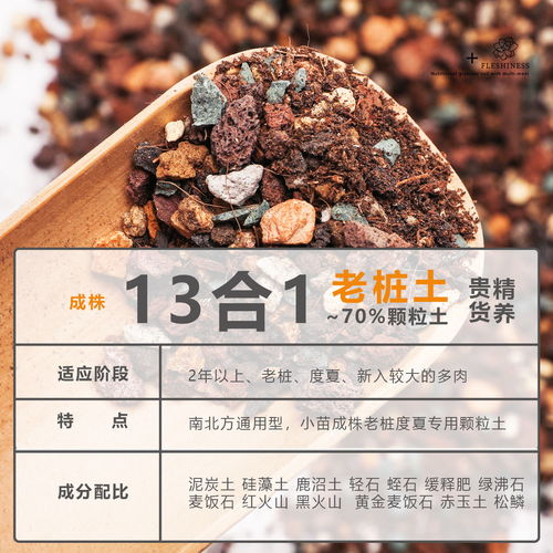 植物营养土如何配制？成分比例有哪些