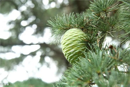 环境控制三要素， 就像照顾小孩子一样