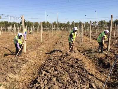 浅层土和深层土