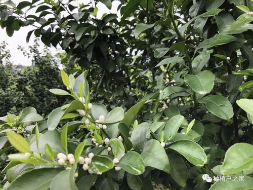 用药要讲究， 别乱来