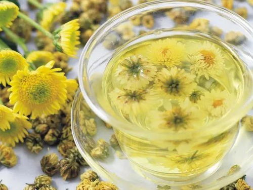 想喝刺梨菊花茶？它的功效与作用及禁忌你了解多少