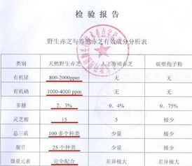 灵芝种植市场动态：揭秘野生灵芝价格走势