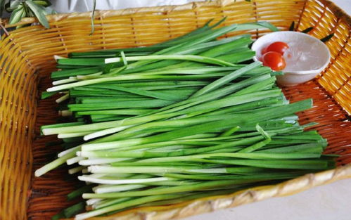 韭菜种植方法有哪些？如何轻松种出美味韭菜