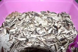 栀子酸性花肥，自制方法是什么