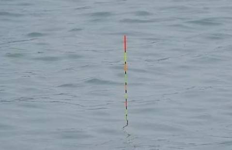 鲫鱼调漂：掌握浮漂下沉速度