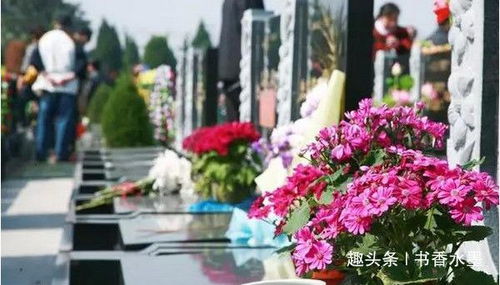 清明时节的花草之谜