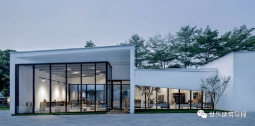 小叶榄仁搭配四季美学景观，美得让人心动