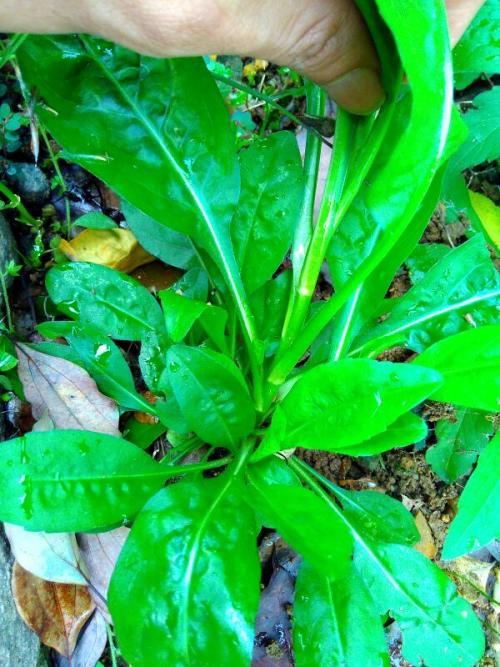 老手私藏避坑指南