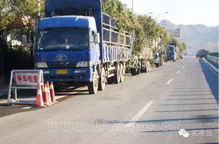 运输中的水分保卫战