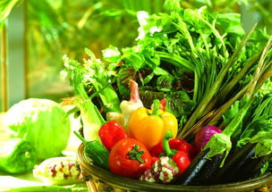 春天的树木，妆点美丽家园