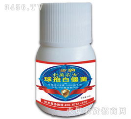 球孢白僵菌杀虫剂：如何让它更厉害，更环保？