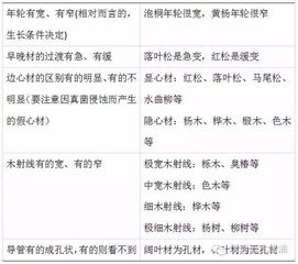 工具与技巧：木材识别的得力助手