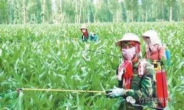 有机合成农药的应用