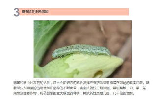 农药保护农民利益