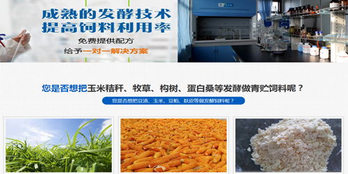 青岛饲料发酵技术中，棕榈粕发酵如何优化以提高其在畜牧业的应用效果？