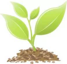 Q：现在播种来得及吗？