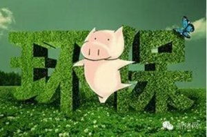 大罗伞树养殖全攻略：技巧与注意事项，轻松成为畜牧高手！