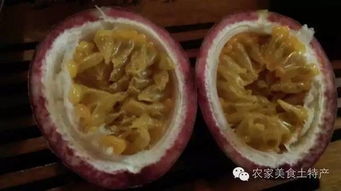 百香果籽可以直接播种吗？南方地区种植百香果的最佳时间是什么时候