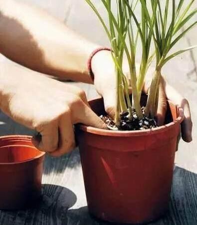 第二步：避免使用硬水