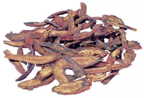 丹参催芽难题， 新方案嫩否破解