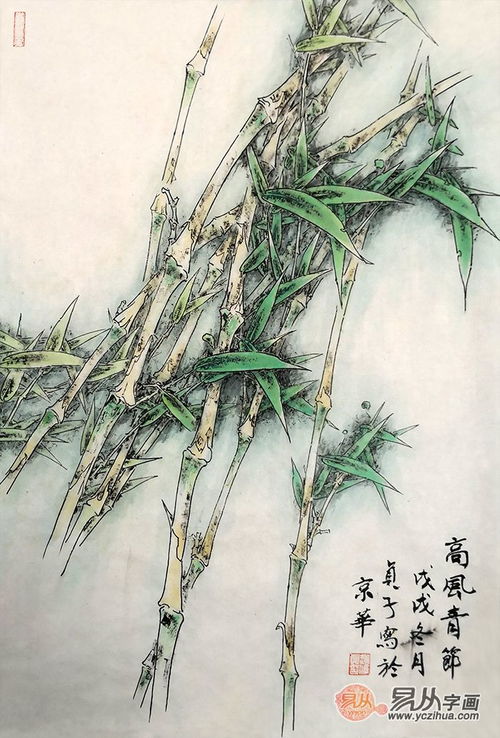 竹子坚韧，送长辈为何寓意长寿
