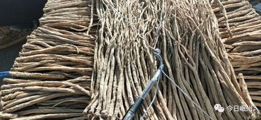 别堪地面部分相似，地下的区别要命