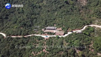 南康茶油苗：广西三江县优质茶叶基地，电话咨询直达！