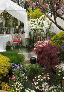 如何种花草？如何选择植物品种？