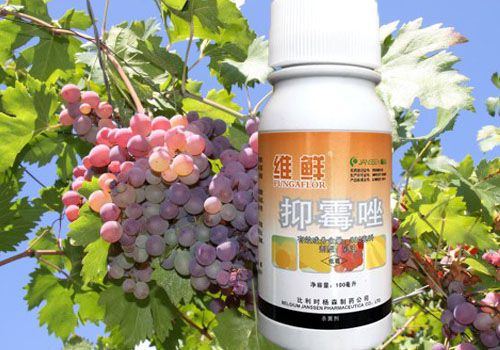 抑霉唑杀菌剂的使用