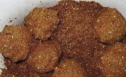 豆饼发酵后产生的臭味有毒吗？