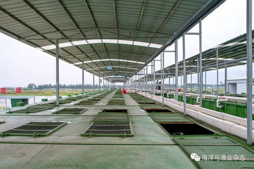 旧猪场改造升级，推广生态养殖、智能监控、环保处理技术