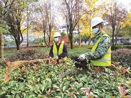 植物保育专家：生物多样性的守护者