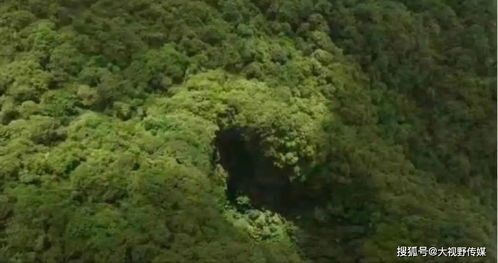 油松种子的千粒重究竟是个啥东东？