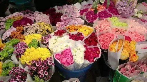 鲜花保鲜加什么？延长花期有妙招