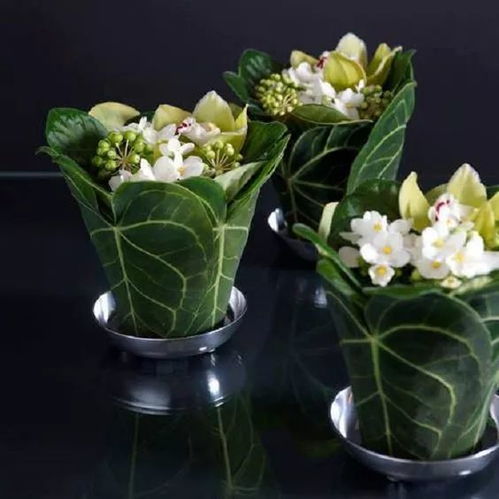 花艺设计与操作：与自然的对话