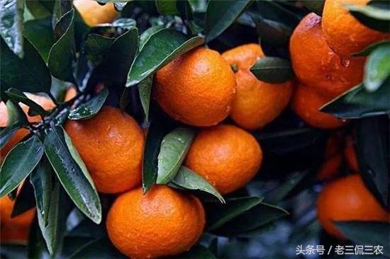 打农药, 要选对药