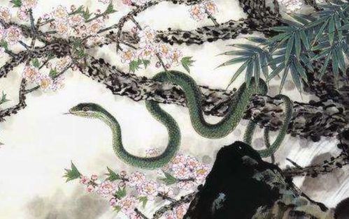鸿运当头：揭秘运势翻转