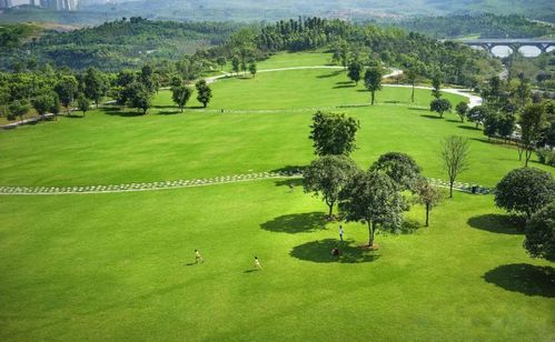 嫩量流的景观概念