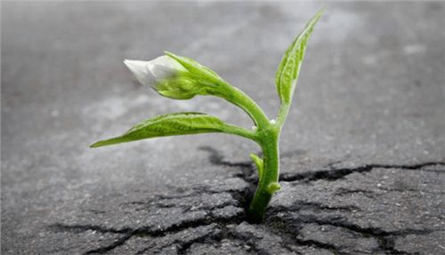 文化认同与心灵滋养