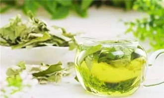 鼠曲草的药用价值与市场行情