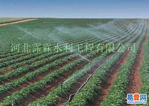 红龙草生命力顽强，是农业种植的理想选择