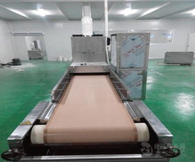 小型食品杀菌机：平安守护的神秘小机器