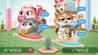 双11猫猫战队如何巧妙布局，比赛悬念揭晓