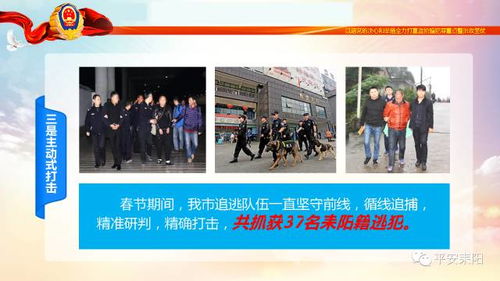 耒阳金拓天茶油总代理加盟，揭秘优质政策优势！