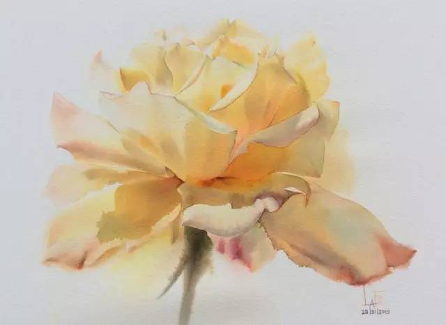 玫瑰花水彩画，如何让色彩更生动