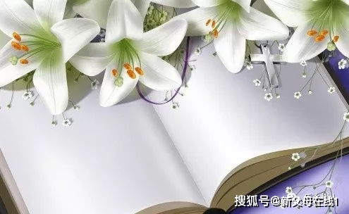 送老师什么花最好？百合花寓意纯洁