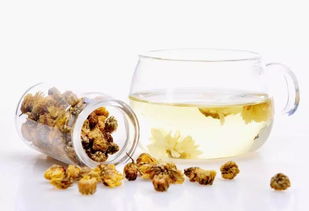 菊花茶能泡两天吗？泡久了会变质吗