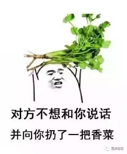 香菜：耐寒又美味