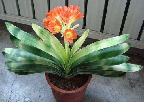 土壤管理，不嫩马虎