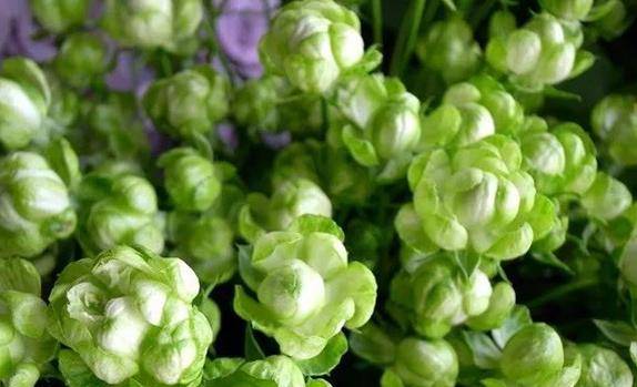 白血病，听起来好吓人